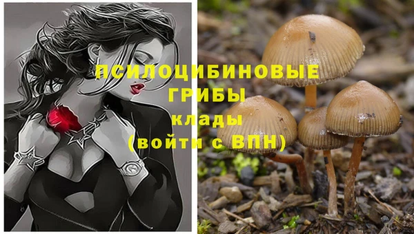 спиды Семёнов