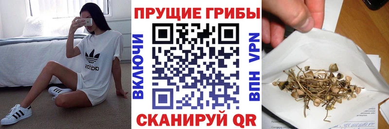 Галлюциногенные грибы GOLDEN TEACHER  как найти   Гудермес 