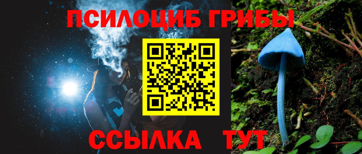 Гудермес  Галлюциногенные грибы Magic Shrooms  Вход с VPN 
